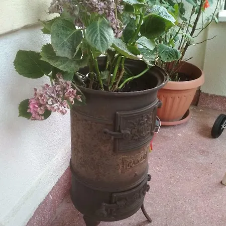 Apartamento Radi's