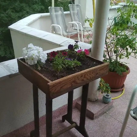 Radi's Apartamento